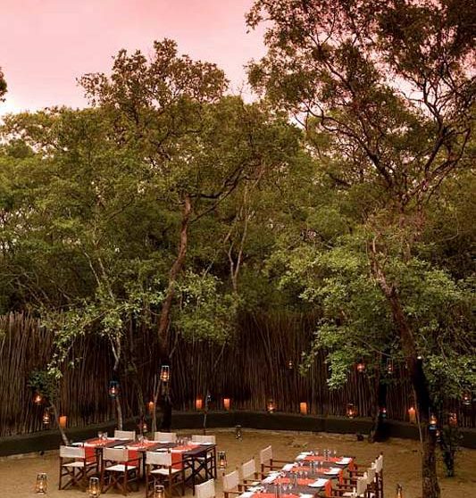 Une soirée au Phinda Forest Lodge