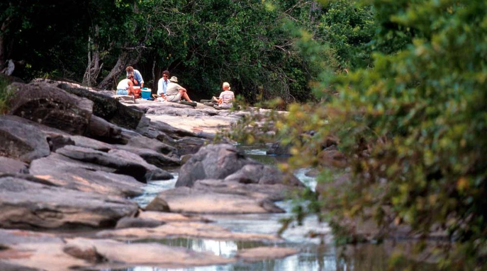 Pique-nique en pleine nature au Sand Rivers Selous