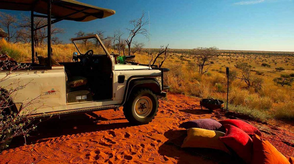 Au cur de la savane à Tswalu