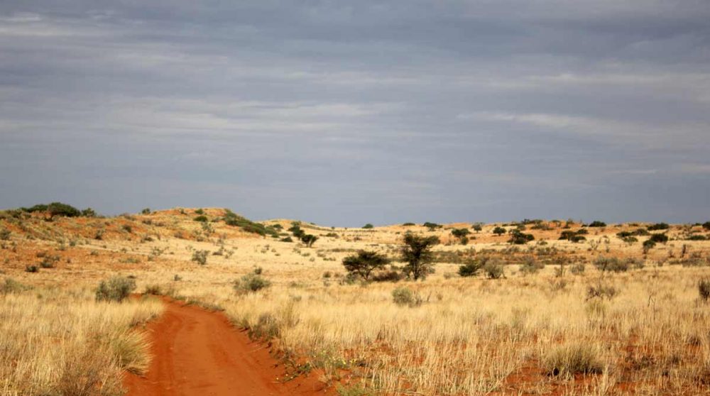 La piste de sable orange à Xaus Lodge
