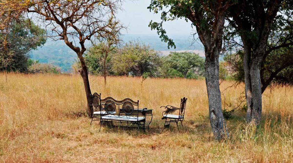 Paysage de savane dans le Serengeti