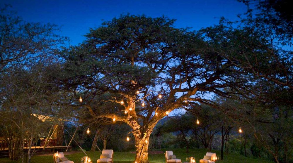 Le jardin éclairé de nuit en Afrique du Sud