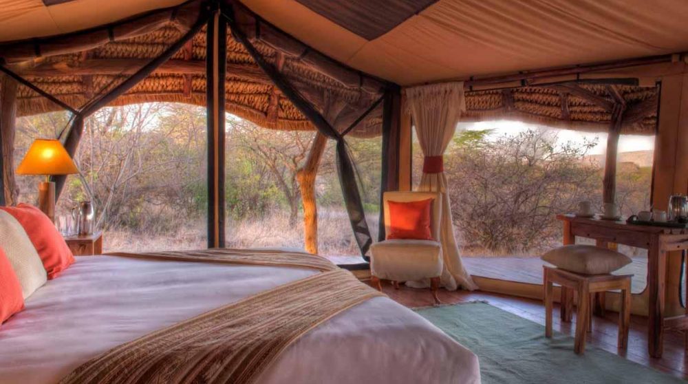 Une tente au petit matin à Lewa