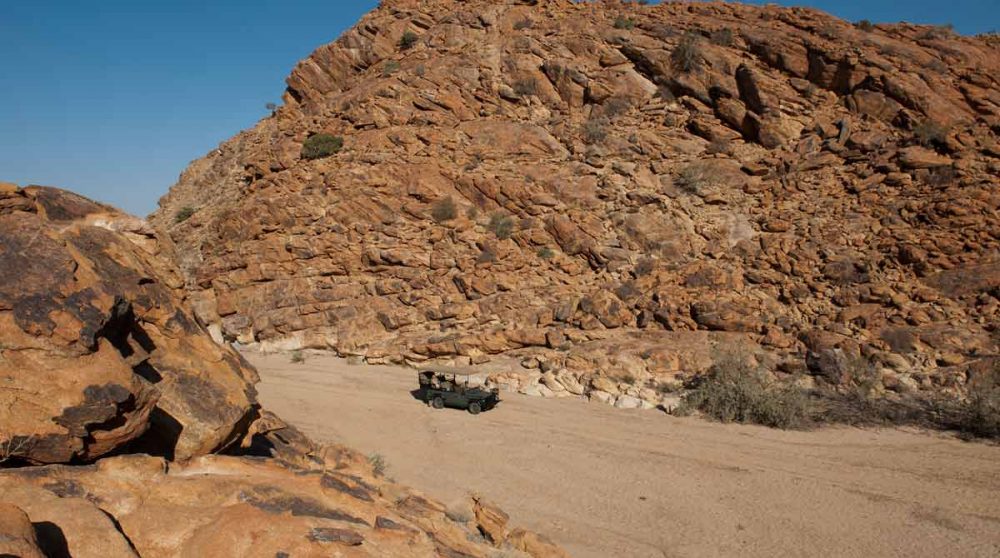 Expédition en 4x4 à la recherche des animaux dans le Kalahari