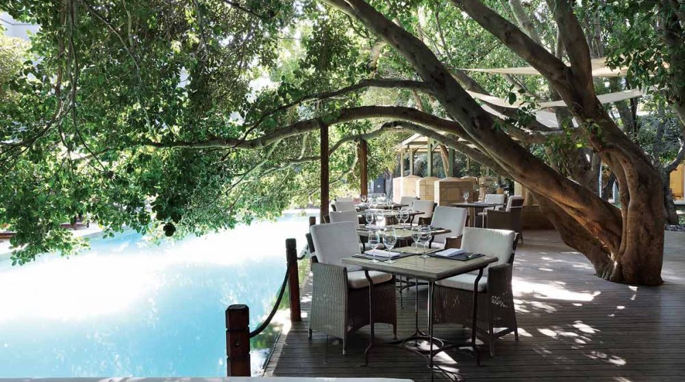 La table à l'ombre à Johannesburg