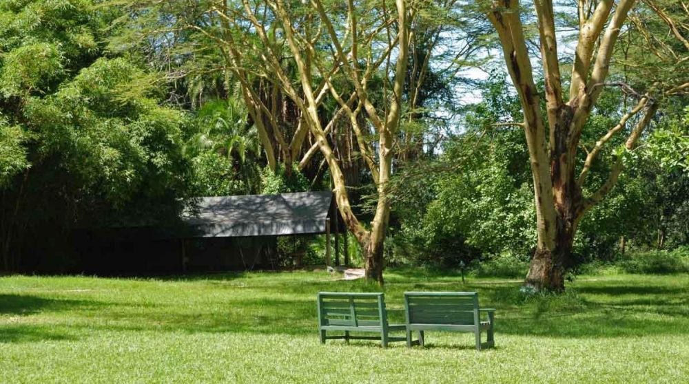 Le jardin au Kenya