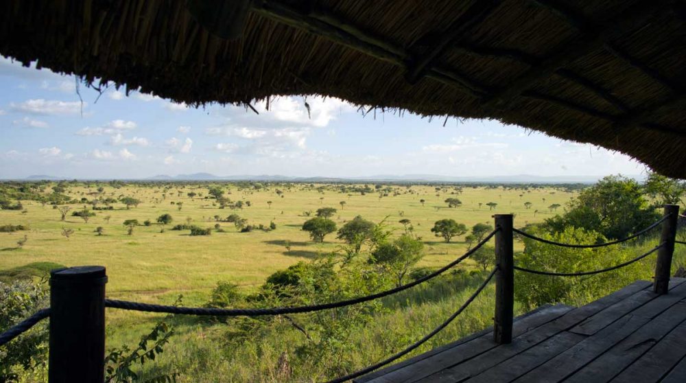 La vue depuis une chambre