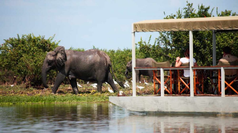 Safari depuis le lac
