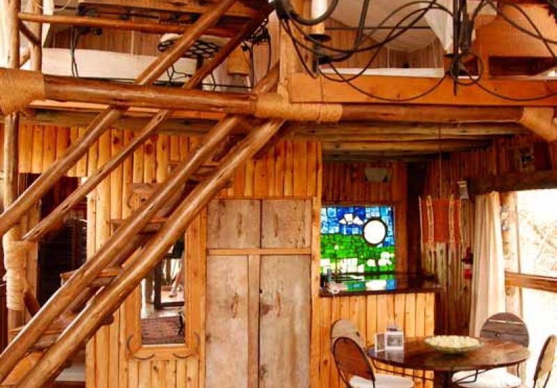 Une treehouse à deux étages