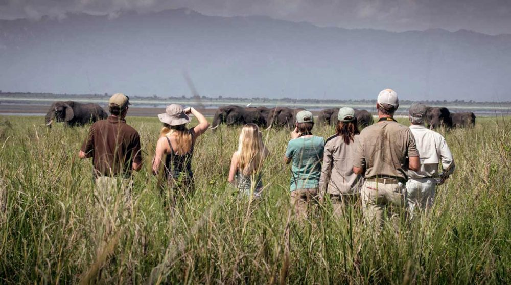 Marche dans la brousse à Little Chem Chem