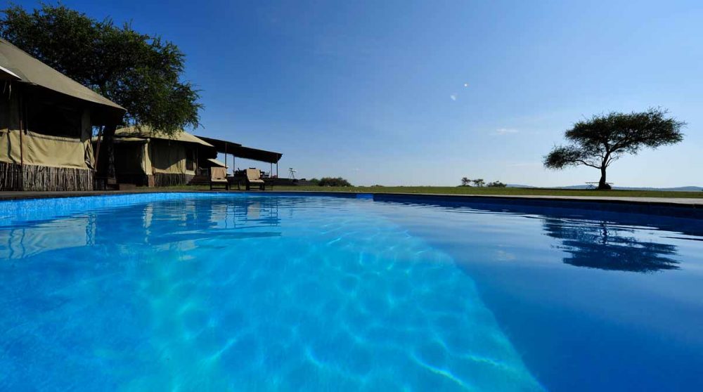 Plongeon dans la piscine
