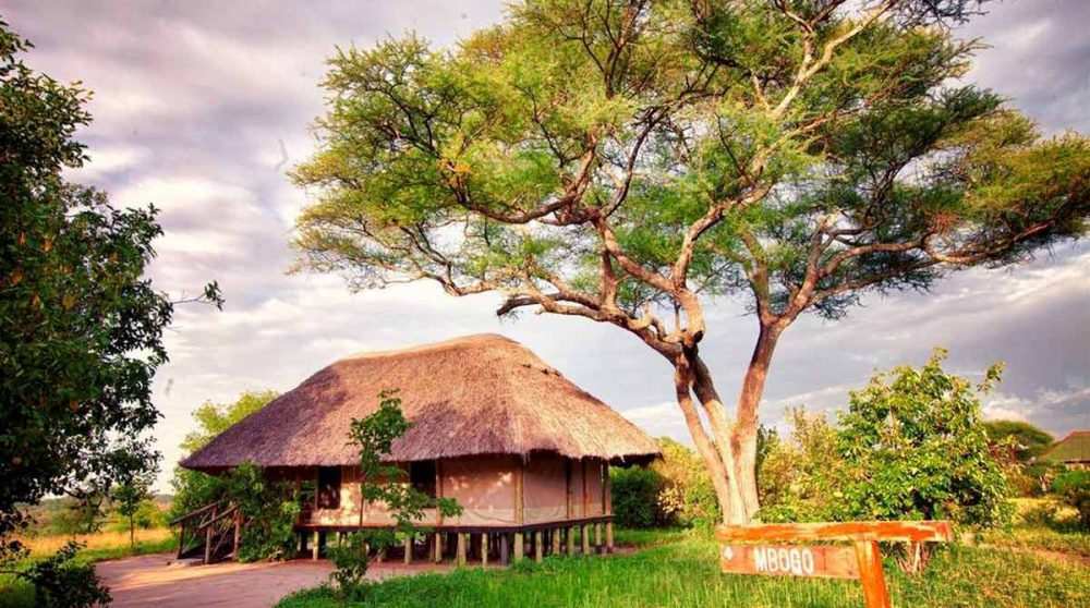 Extérieur d'une tente deluxe