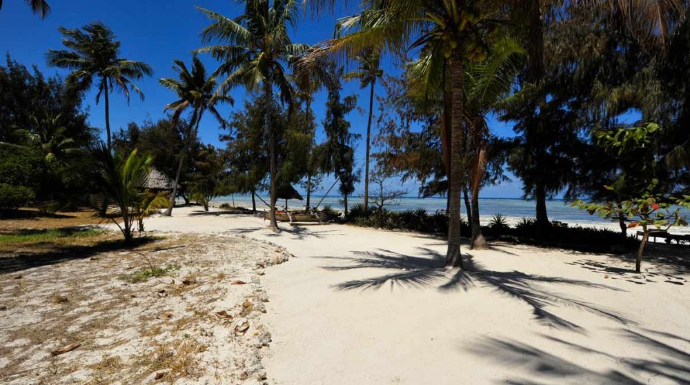 La plage de l'établissement à Zanzibar