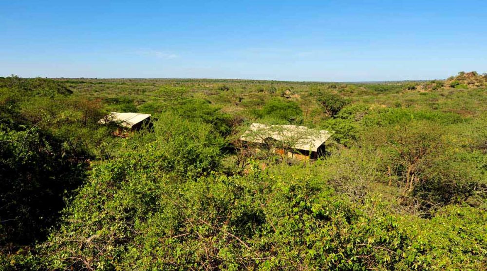 Paysage de savane en Tanzanie