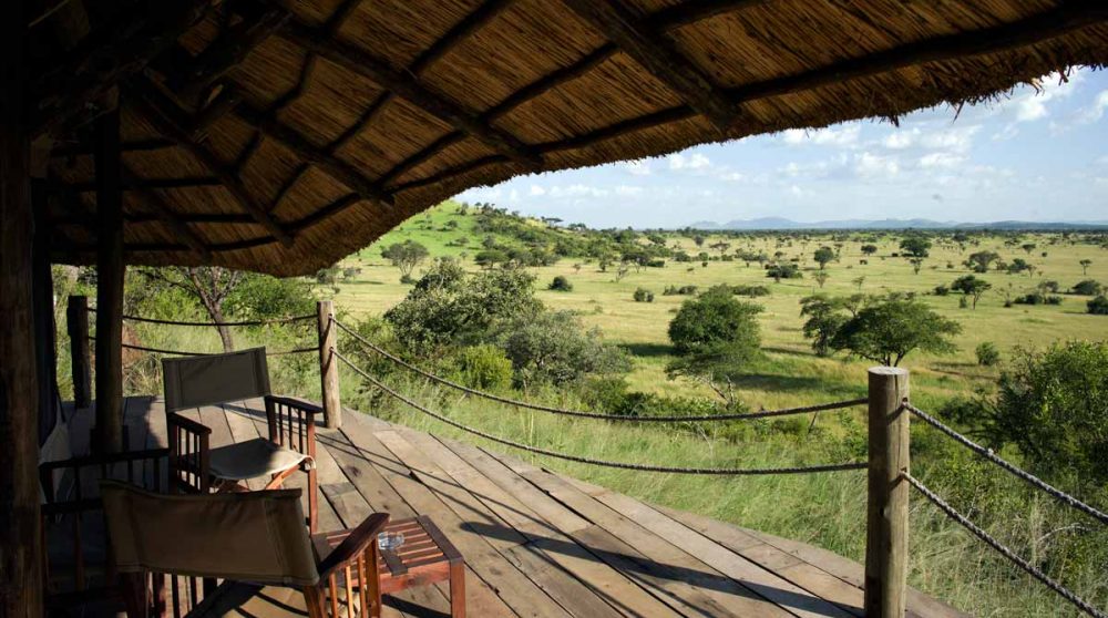 Paysage dans le parc du Serengeti