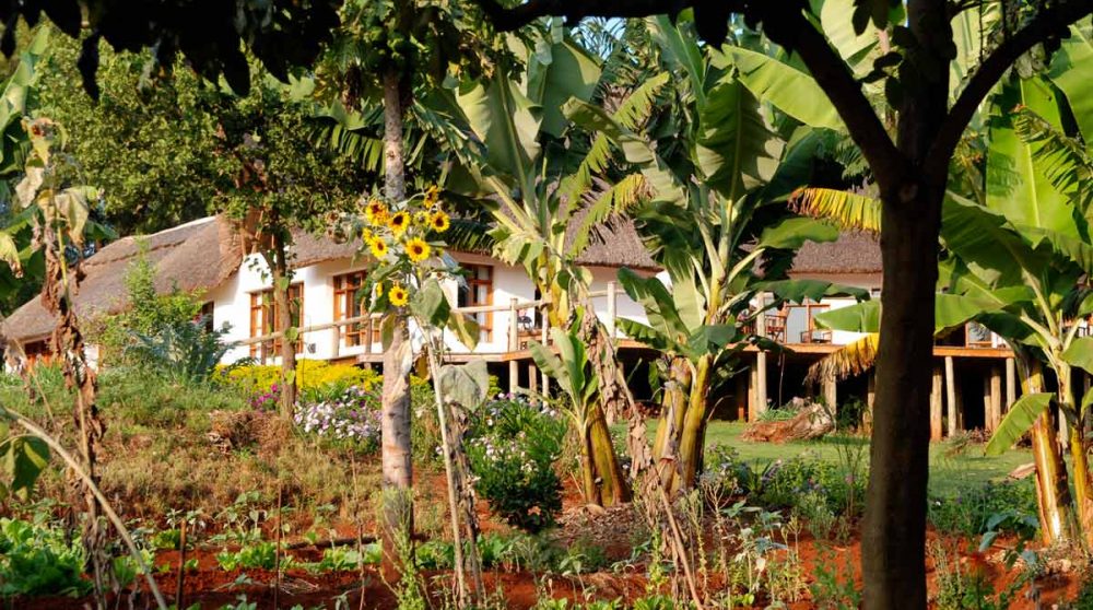 Le jardin au Ngorongoro