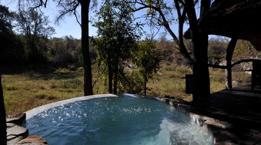 La nature vue depuis la piscine en Afrique du Sud