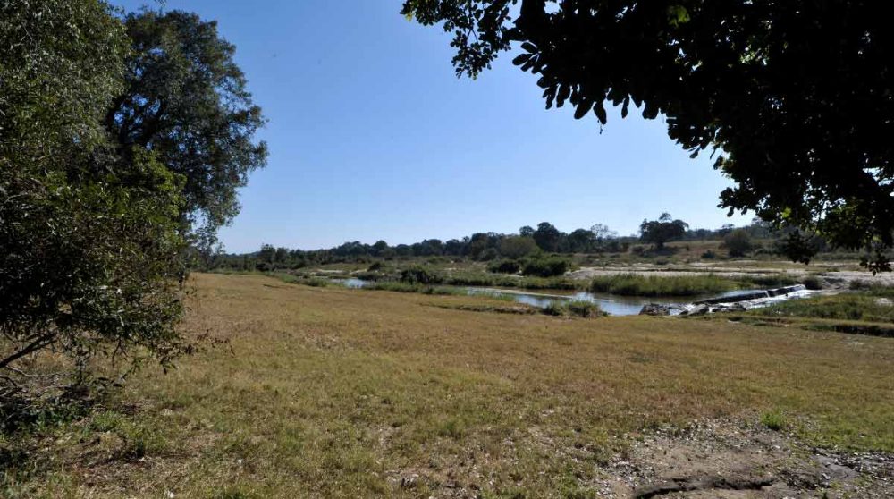 Le jardin à Sabi Sand