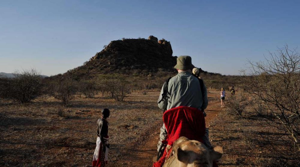 Safari dans une réserve du Kenya