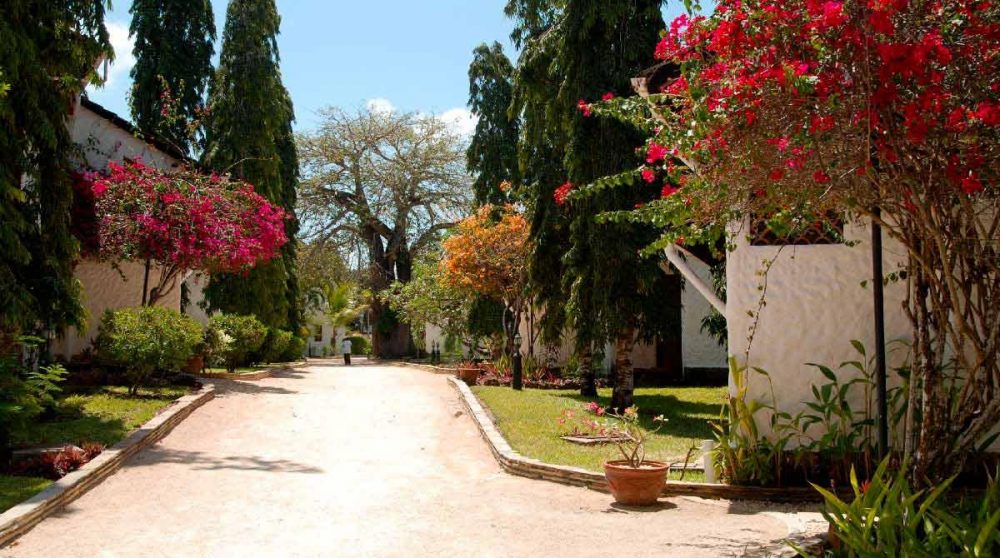 Une allée fleurie à Mombasa