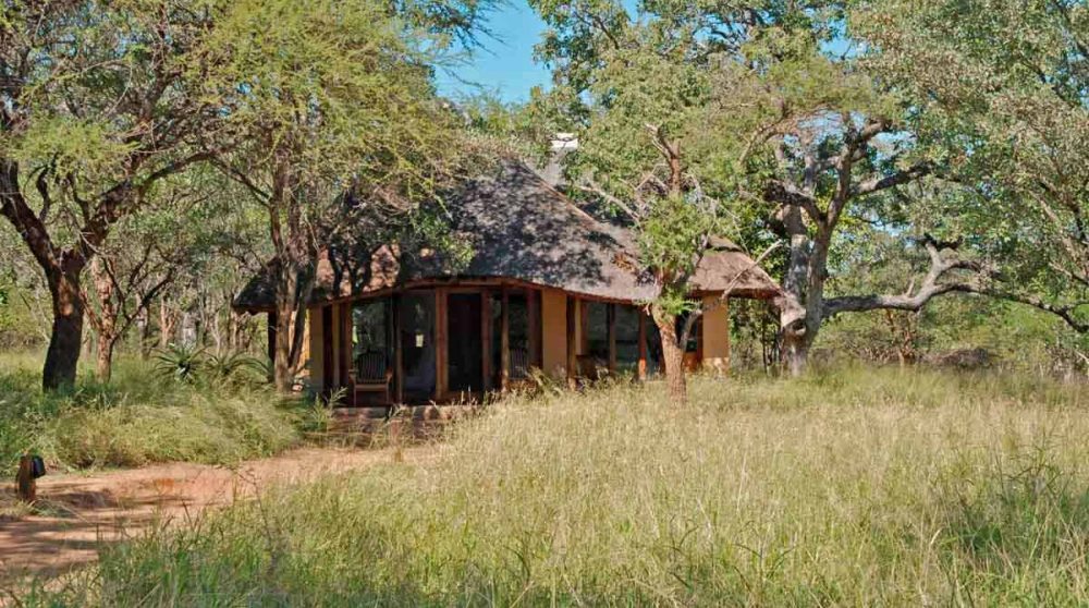 Vue extérieure d'un lodge à Thornybush