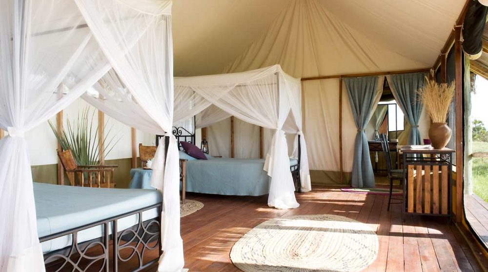 Une tente twin en Tanzanie