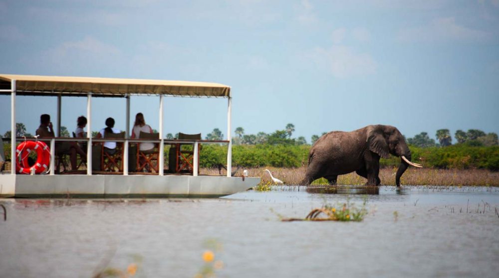 Safari depuis le lac face à un éléphant en Tanzanie
