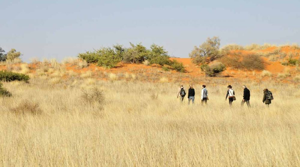 Départ d'une marche dans le désert