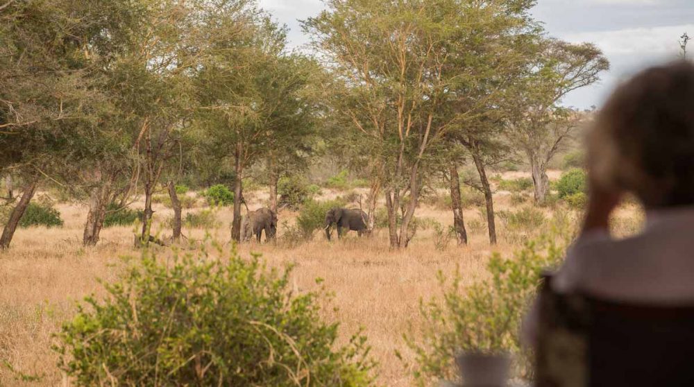 En safari au Kuro Tarangire