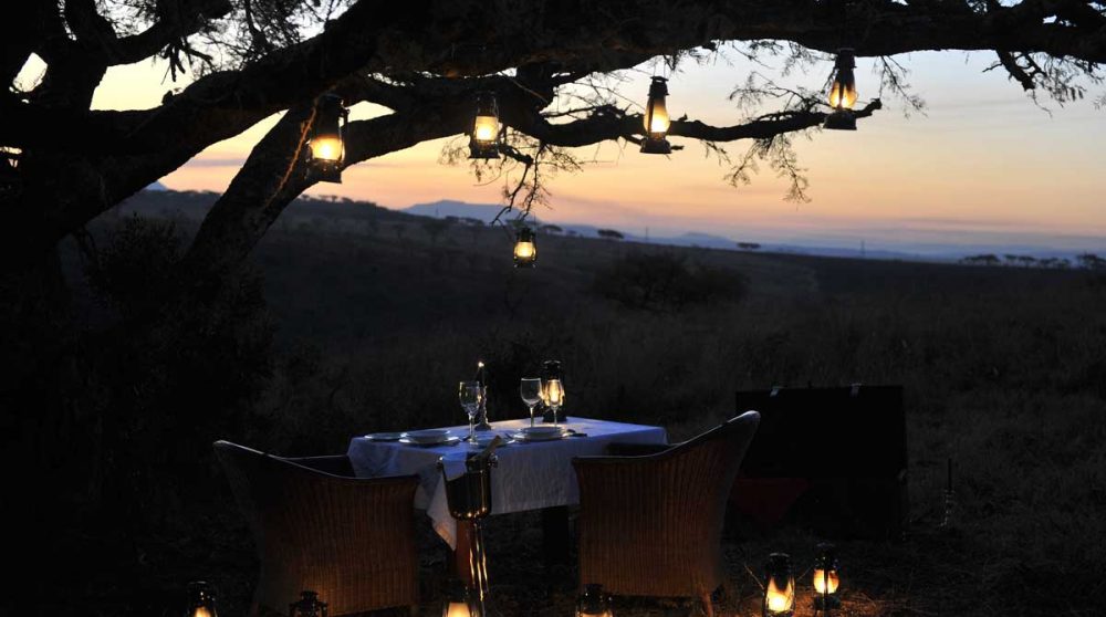 Un moment romantique dans la savane