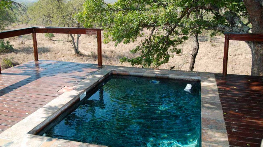 Piscine d'une Honeymoon suite de l'Elephant Plains