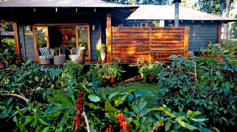 Extérieur d'une suite plantation