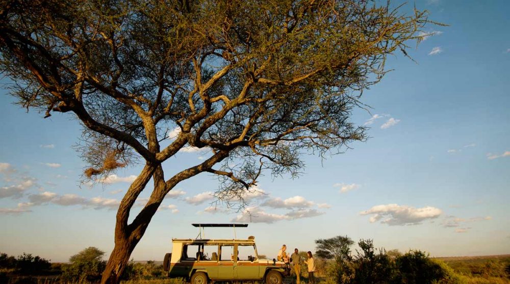 Pause lors d'un safari en Tanzanie