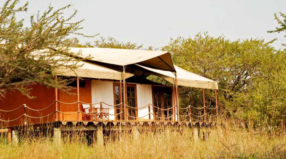 Une tente au Migration Camp