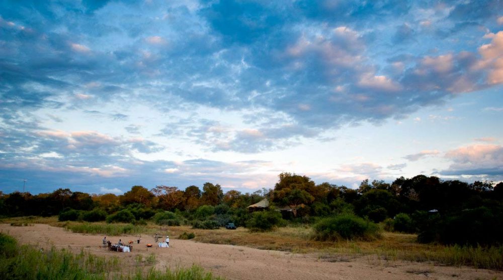 Vue sur la nature près du Ngala Tented Camp