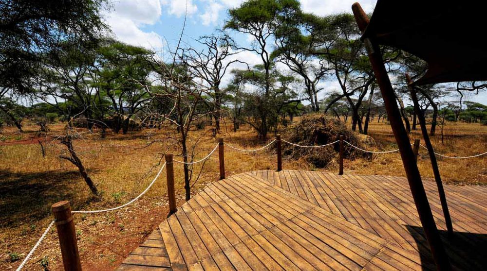 La vue depuis une tente au Swala Camp