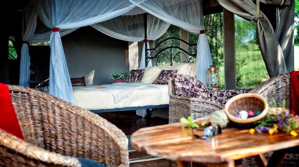 Vue d'une tente deluxe au Tarangire River Camp