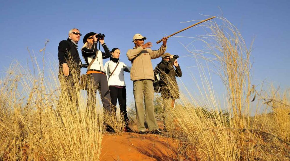 Observation durant la marche guidée à Xaus Lodge