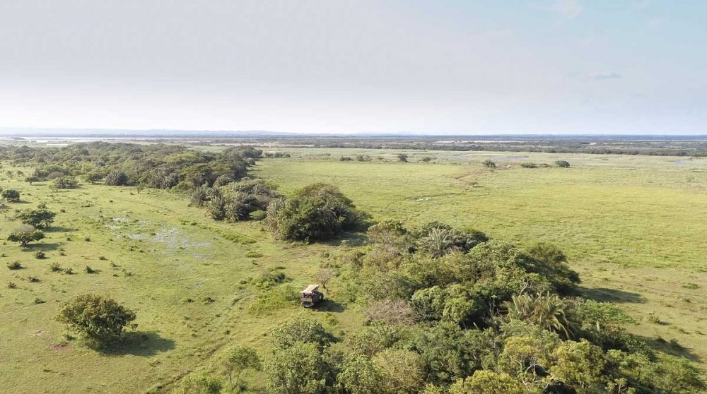 Safari en 4x4 dans le parc iSimangaliso