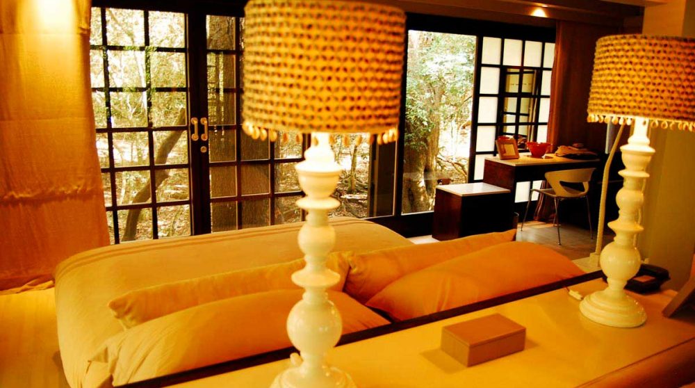 Autre vue de la chambre en Afrique du Sud