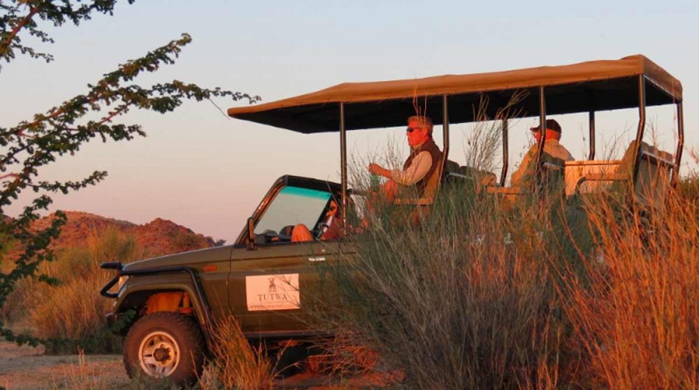 Safari en 4x4 en fin de journée dans le Kalahari