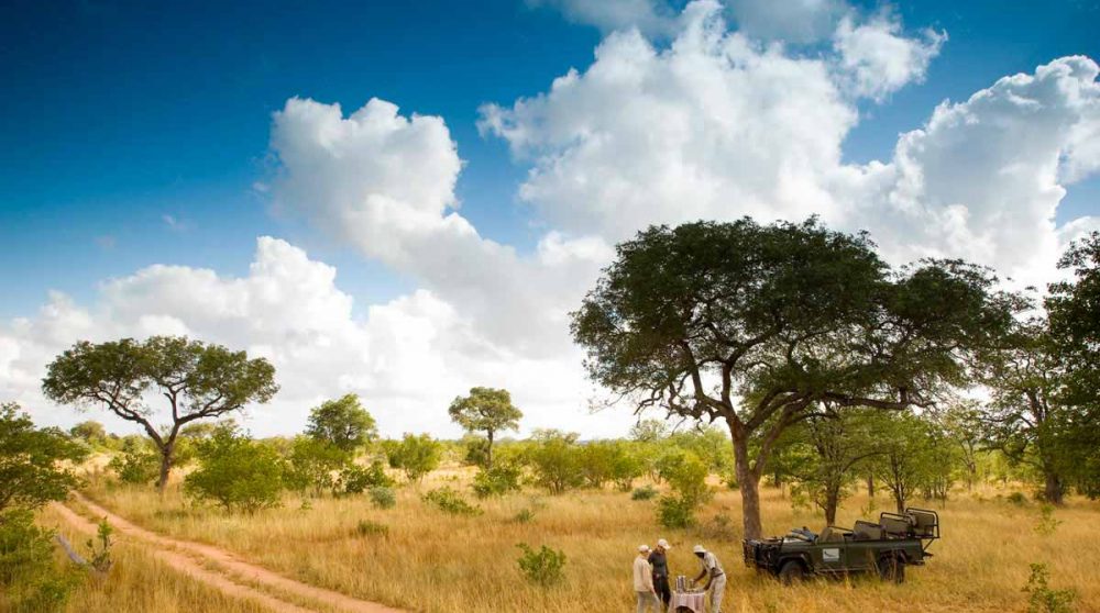 Journée safari en Afrique du Sud