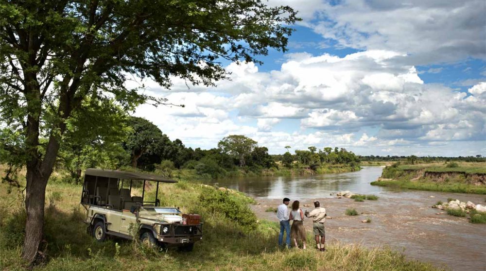 Observation des animaux dans le parc du Serengeti