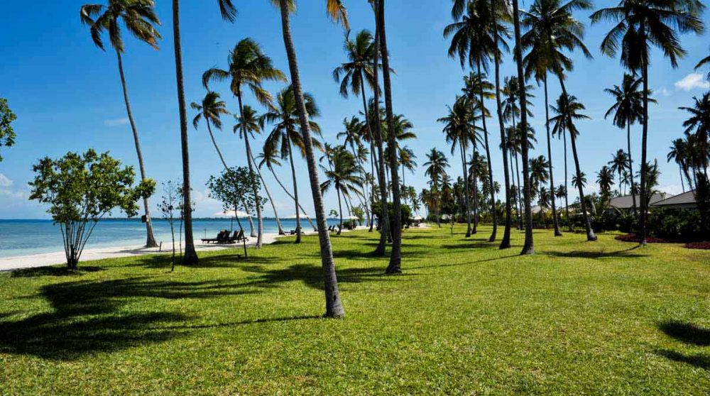 Le jardin en Tanzanie