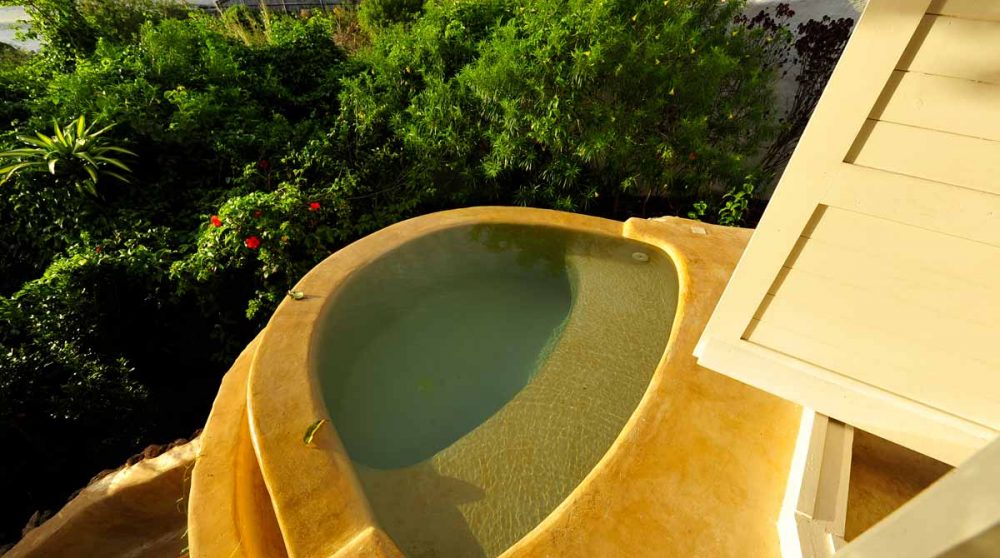 Pisicne privative en Tanzanie