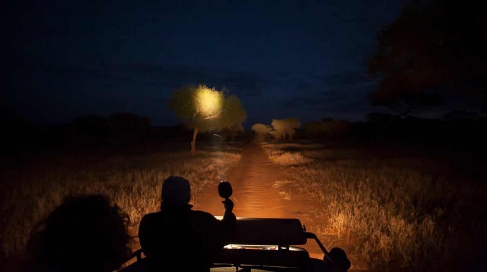 Safari de nuit dans le Tarangire