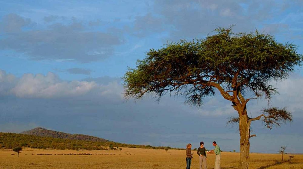 Petite pause au cur de la savane