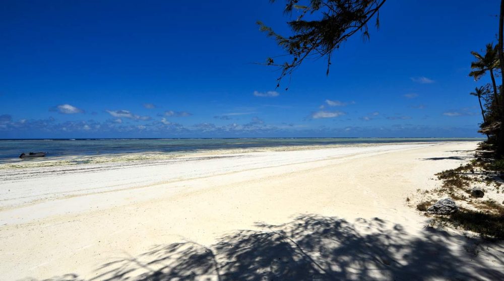 La plage avec la mer au loin