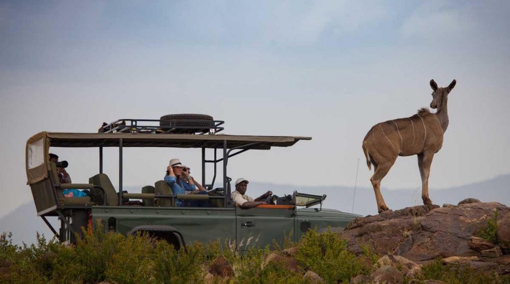 Départ en safari du Loisaba Tented Camp