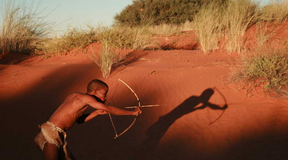 Un bushman en train de chasser